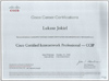 Cisco Certified Internetwork Professional - CCIP