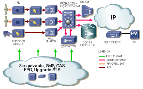 Cyfrowa telewizja MPEG-2 lub 4 IPTV